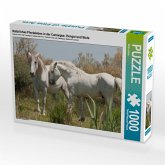 CALVENDO Puzzle Natürliches Pferdeleben in der Camargue: Hengst und Stute 1000 Teile Lege-Größe 64 x 48 cm Foto-Puzzle B