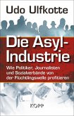 Die Asyl-Industrie (eBook, ePUB)