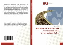 Modélisation Multi-échelle du comportement biomécanique de l'os - Khaterchi, Houda