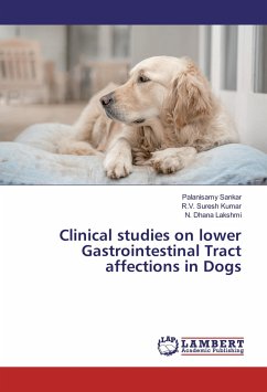 Clinical studies on lower Gastrointestinal Tract affections in Dogs - Sankar, Palanisamy;Suresh Kumar, R. V.;Dhana Lakshmi, N.
