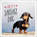 Love is a Sausage Dog