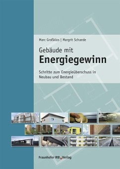 Gebäude mit Energiegewinn. (eBook, PDF) - Großklos, Marc; Schaede, Margrit