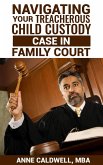 Navigating Your Treacherous Child Custody Case in Family Court (eBook, ePUB)