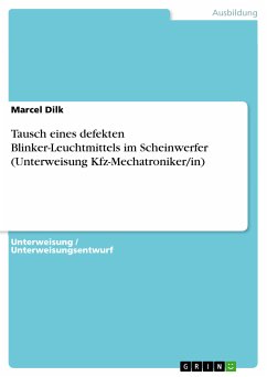 Tausch eines defekten Blinker-Leuchtmittels im Scheinwerfer (Unterweisung Kfz-Mechatroniker/in) (eBook, PDF) - Dilk, Marcel