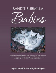 Bandit Burmilla Babies - Collins, Ingrid J; Ronayne, Kathryn