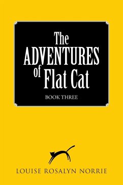 The ADVENTURES of Flat Cat - Louise Rosalyn Norrie