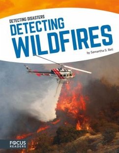Detecting Wildfires - Bell, Samantha S