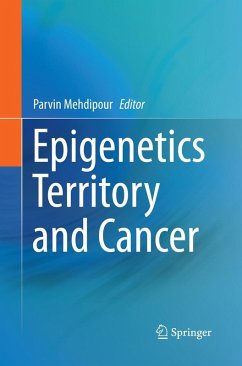 Epigenetics Territory and Cancer