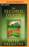 The Second Death: A Mystery of Ancient Ireland