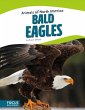 Bald Eagles - Bild 1