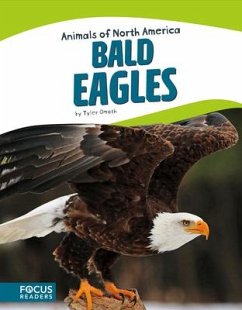 Bald Eagles - Omoth, Tyler