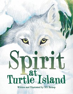Spirit at Turtle Island - Bishop, D. N.