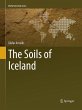 The Soils of Iceland - Bild 1