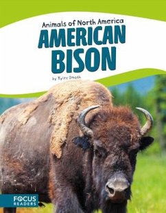 American Bison - Omoth, Tyler