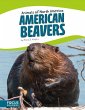 American Beavers - Bild 1