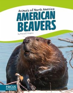 American Beavers - Klepeis, Alicia Z