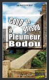 Coup de grisou à Pleumeur-Bodou (eBook, ePUB)