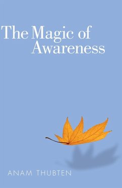 Cover The Magic of Awareness (eBook, ePUB)