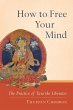 How to Free Your Mind (eBook, ePUB) - Bild 1