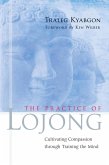 The Practice of Lojong (eBook, ePUB)