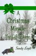 A Christmas Miracle: The Gift of Love... - Bild 1