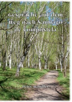 Gespräche auf dem Weg nach Santiago de Compostela - Wandler, Peter