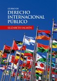 Curso de derecho internacional público (eBook, ePUB)