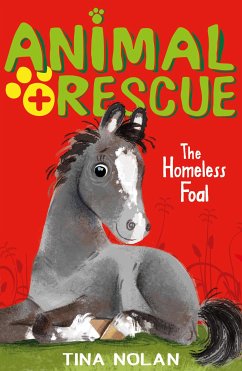 The Homeless Foal (eBook, ePUB) - Nolan, Tina