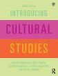 Introducing Cultural Studies - Bild 1
