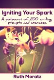 Igniting Your Spark (eBook, ePUB)