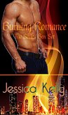 Burning Romance - The Series (eBook, ePUB)