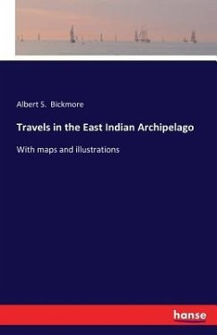 Travels in the East Indian Archipelago - Bickmore, Albert S.