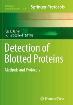 Detection of Blotted Proteins