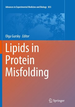 Lipids in Protein Misfolding