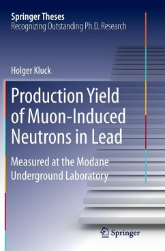Production Yield of Muon-Induced Neutrons in Lead - Kluck, Holger