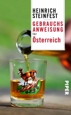 Gebrauchsanweisung für Österreich - Steinfest, Heinrich