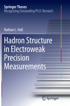 Hadron Structure in Electroweak Precision Measurements - Hall, Nathan L.