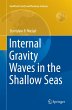 Internal Gravity Waves in the Shallow... - Bild 1