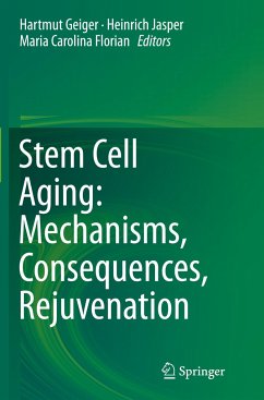 Stem Cell Aging: Mechanisms, Consequences, Rejuvenation