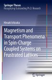 Magnetism and Transport Phenomena in Spin-Charge Coupled Systems on Frustrated Lattices