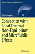 Convection with Local Thermal... - Bild 1