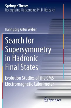 Search for Supersymmetry in Hadronic Final States - Weber, Hannsjörg
