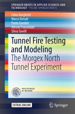Tunnel Fire Testing and Modeling - Borghetti, Fabio;Derudi, Marco;Gandini, Paolo