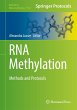 RNA Methylation - Bild 1