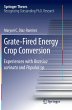 Grate-Fired Energy Crop Conversion - Bild 1