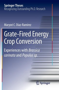 Grate-Fired Energy Crop Conversion - Díaz-Ramírez, Maryori C.