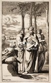 Plutarch's Morals (eBook, ePUB)