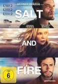 Salt And Fire