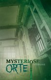 Mysteriöse Orte (eBook, ePUB)