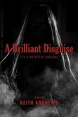 Brilliant Disguise (eBook, ePUB)